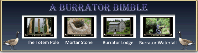 Burrator