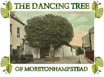 Dancing Tree