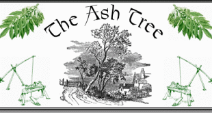 Ash Trees