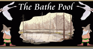 Bathe Pool