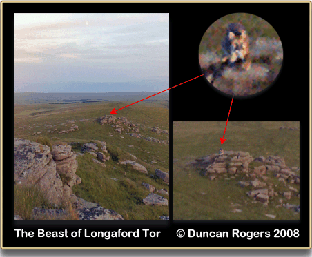 Example blurry photo from Dartmoor