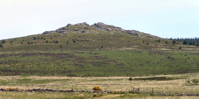 Bellever Hobby Horse