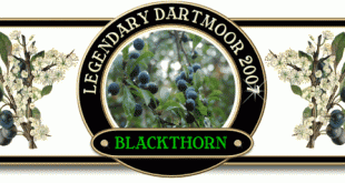 Blackthorn