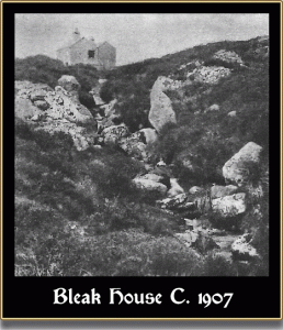 Bleak House