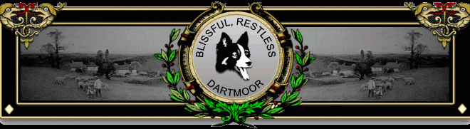 Blissful Dartmoor Book