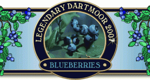 Blueberries