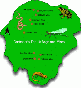 Bogs & Mires