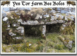Bee Boles