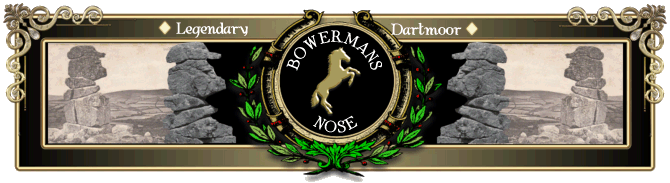 Bowerman's
