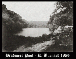 Bradmere Pool