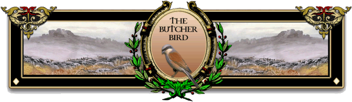 Butcher Birds