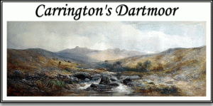 Carrington's Dartmoor