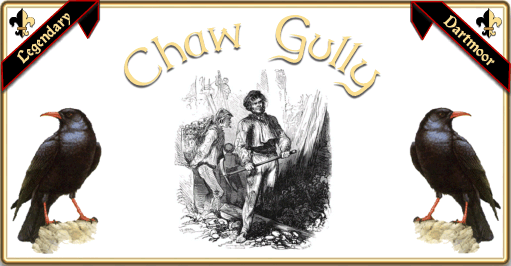 Chaw Gully