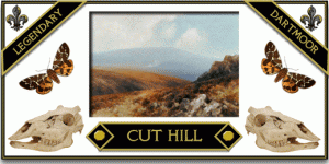 Cut Hill