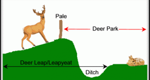 Deer Parks