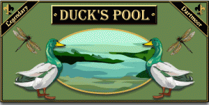 Duck's Pool