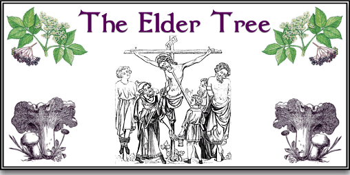 Elder Trees