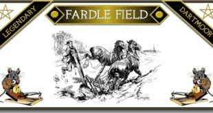 Fardle Field