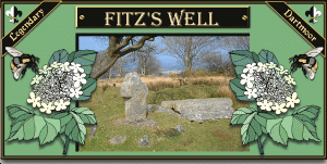 Fitz's Well