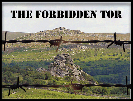 Vixen Tor Forbidden