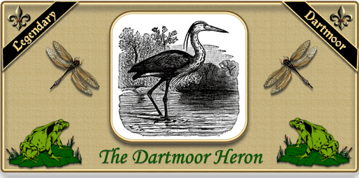 Herons