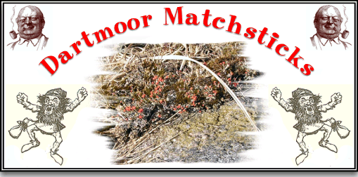 Dartmoor Matchsticks