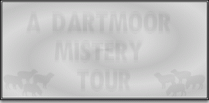 Mistery Tour