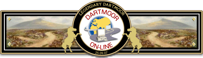 Dartmoor Online