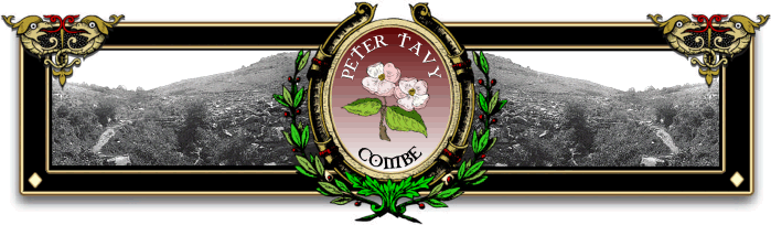 Peter Tavy Combe Verse