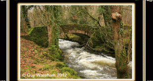 Peadington Landscore