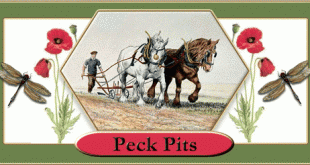 Peck Pits