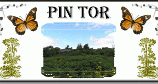 Pin Tor