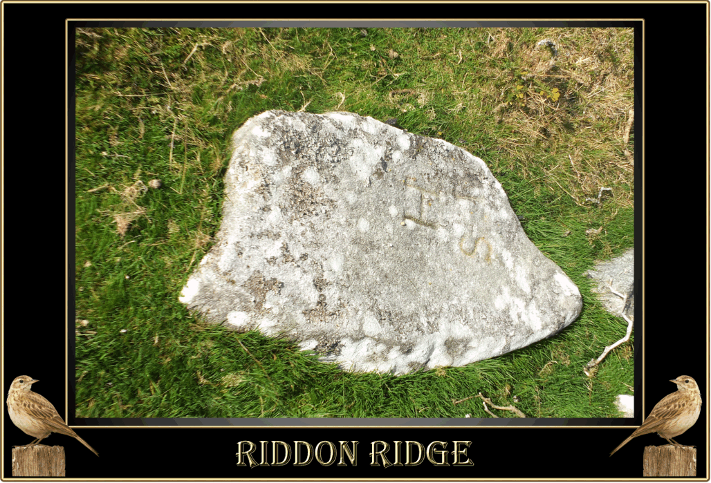Riddrie Rocks Riddon Ridge – Legendary Dartmoor