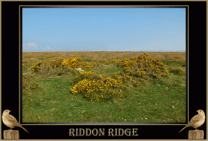 Riddon Ridge
