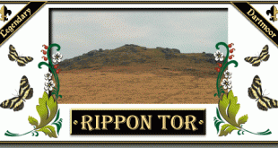 Rippon Tor