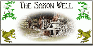 Saxon Well