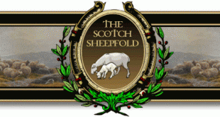 Scotch Sheepfold