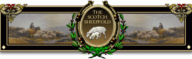 Scotch Sheepfold