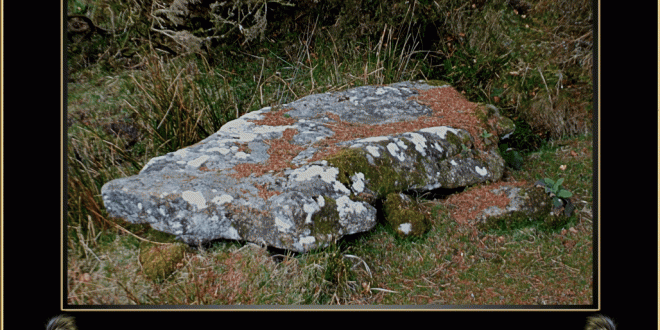 Skunk Farm & the BBC