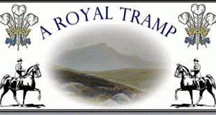 Royal tramp