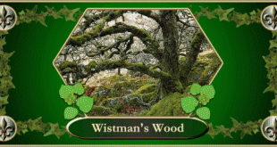 Wistmans Wood verse
