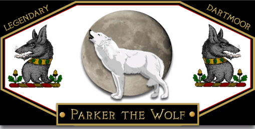 Parker the Wolf