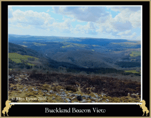 Buckland 4