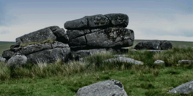 Fox Tor 1
