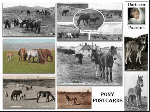 Postcards5