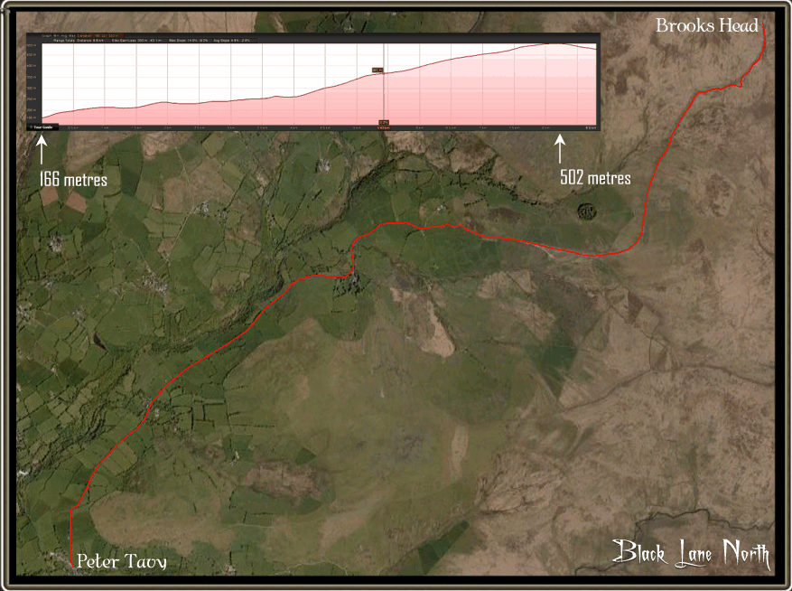 blacklane5 – Legendary Dartmoor