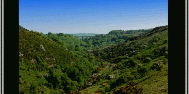 Meldon2
