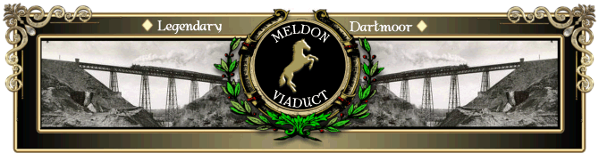 Meldon5