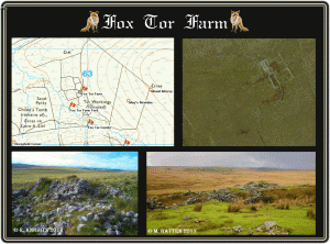 Foxfarm1
