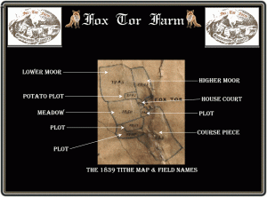 Foxfarm2